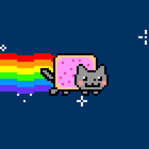 Nyan cat gif
